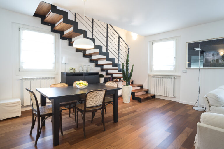 laser_basic_(1)_madre